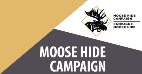 moosehide